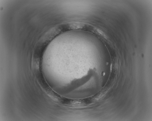 X0000064040315200601301155