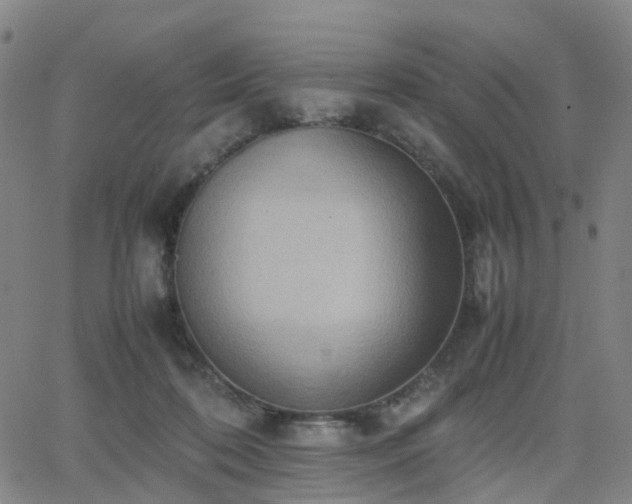 X0000064040316200601301155