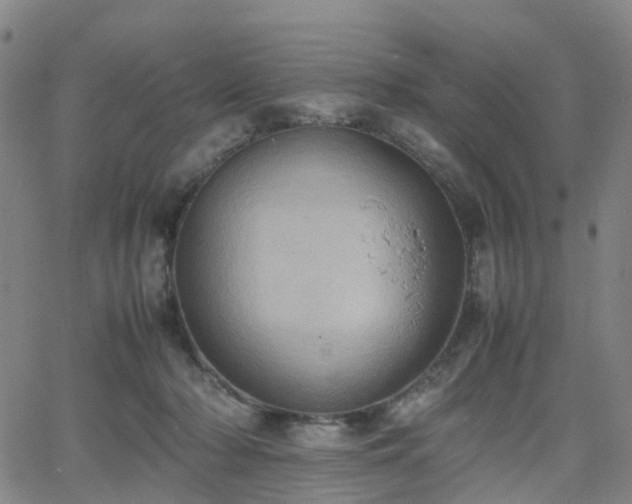 X0000064040318200601301155