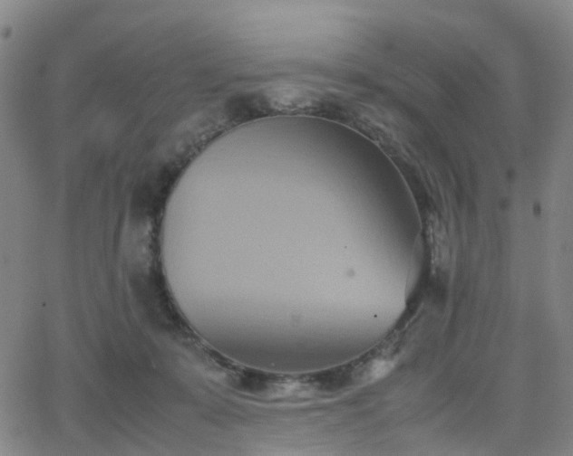 X0000064040319200601301155