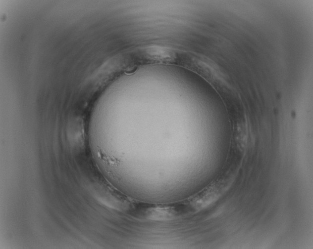 X0000064040320200601301155