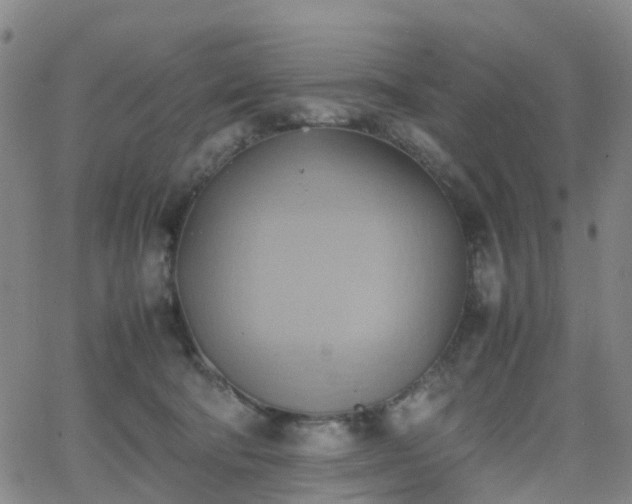 X0000064040322200601301155