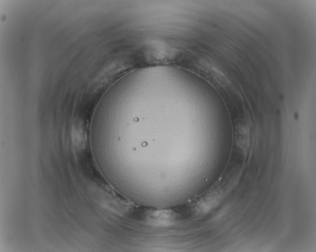 X0000064040324200601301155