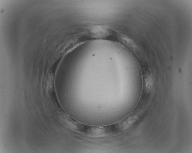 X0000064040325200601301155