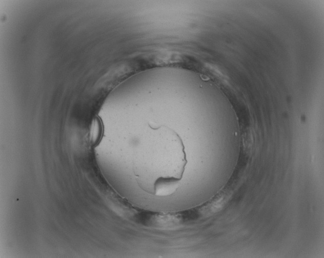 X0000064040327200601301155