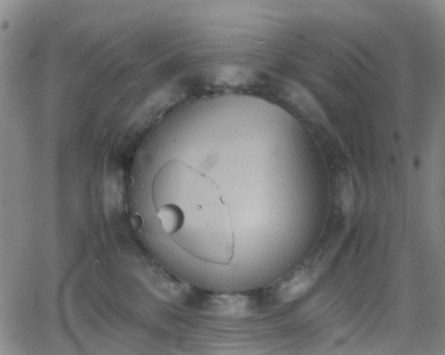 X0000064040328200601301155