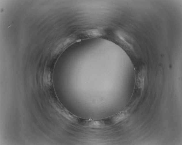 X0000064040330200601301155