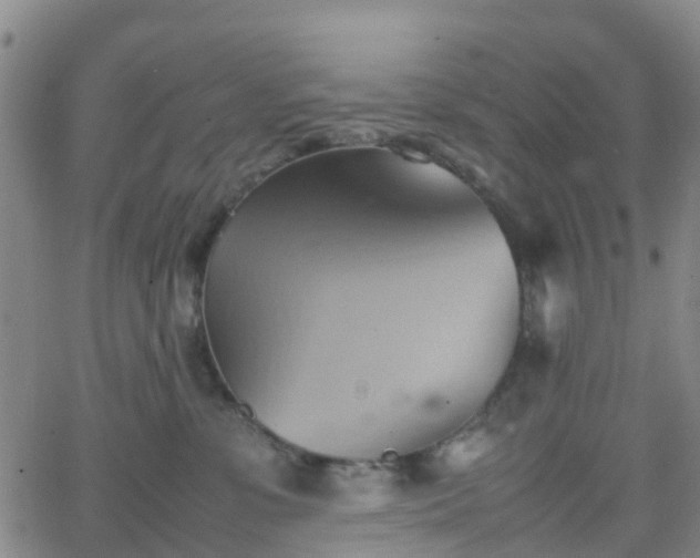 X0000064040331200601301155