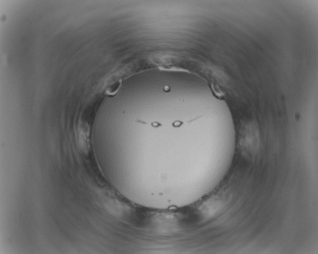 X0000064040332200601301155