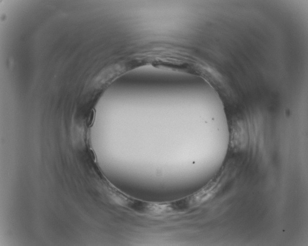 X0000064040333200601301155