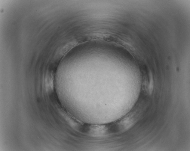 X0000064040334200601301155