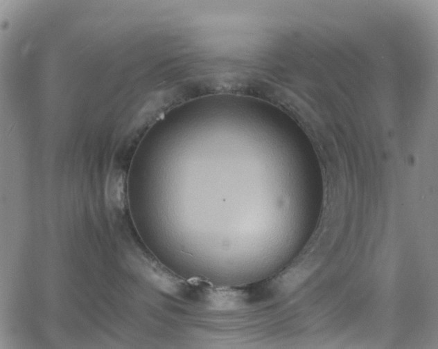 X0000064040336200601301155