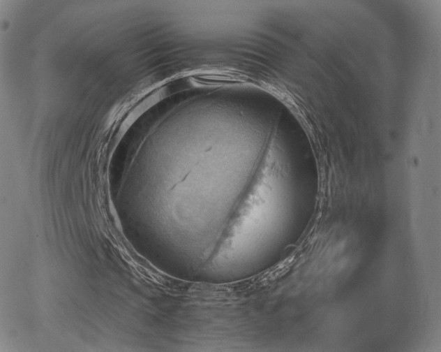 X0000064040337200601301154