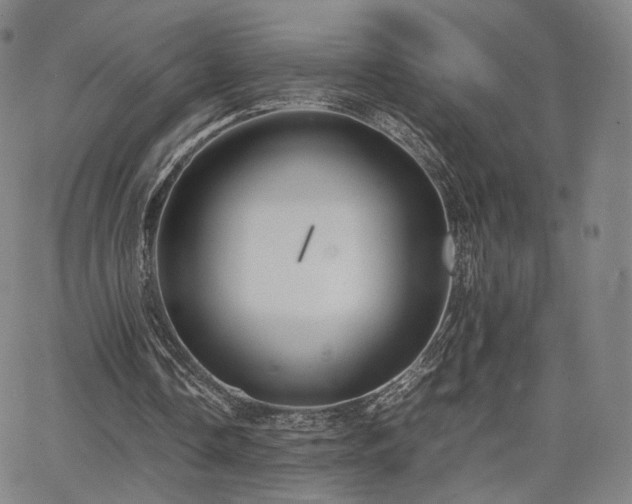 X0000064040338200601301154