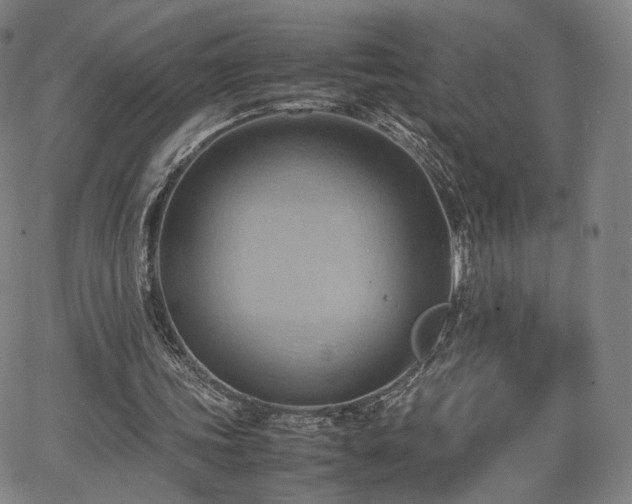 X0000064040339200601301154