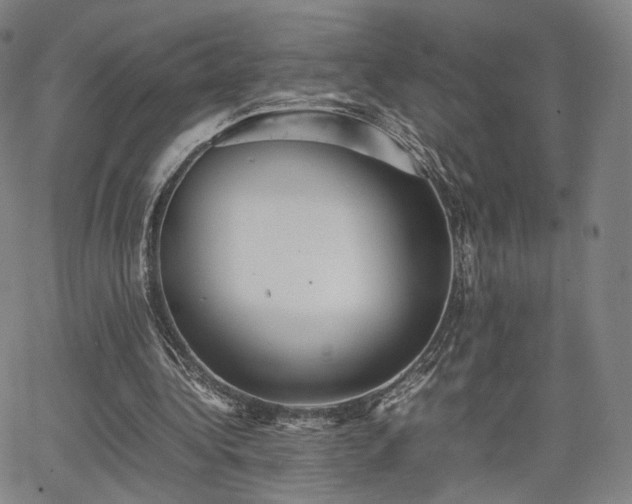 X0000064040340200601301154