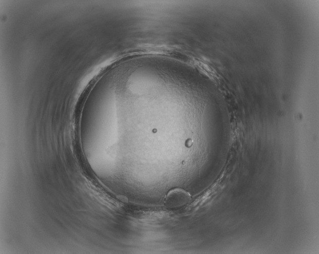 X0000064040342200601301154