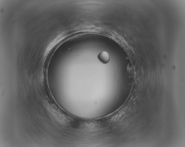 X0000064040344200601301154