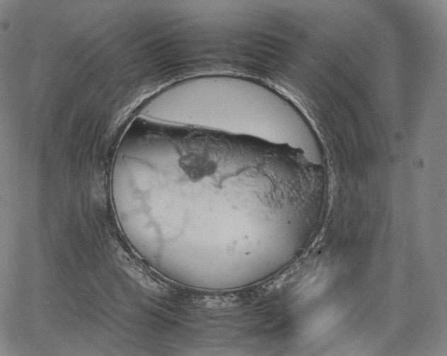 X0000064040345200601301154