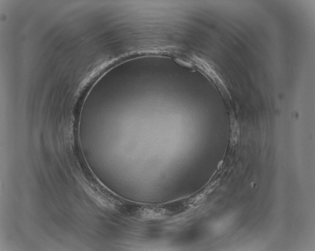 X0000064040346200601301154