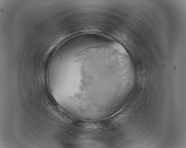 X0000064040347200601301154