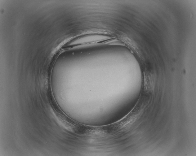 X0000064040348200601301154