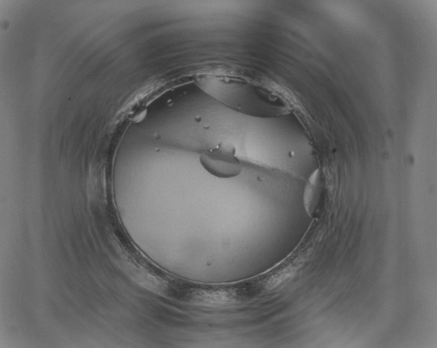 X0000064040349200601301154