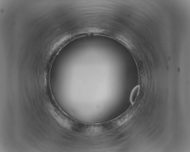 X0000064040350200601301154