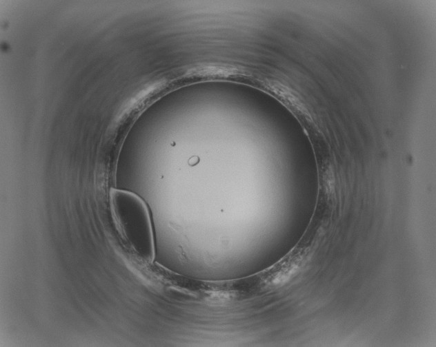 X0000064040352200601301154