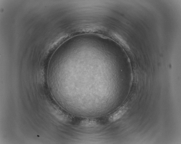 X0000064040354200601301154