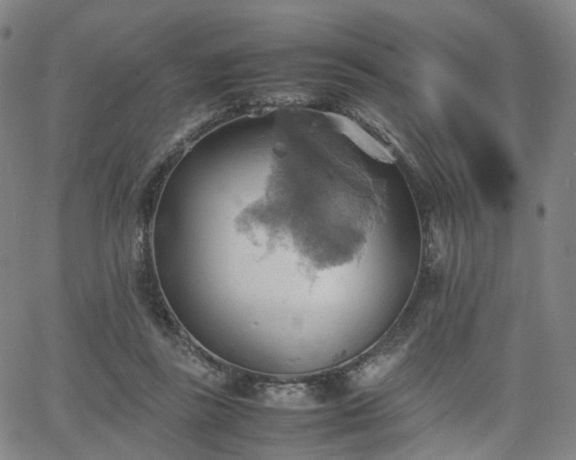 X0000064040355200601301154