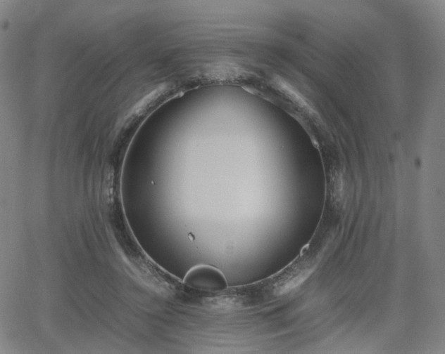 X0000064040356200601301154