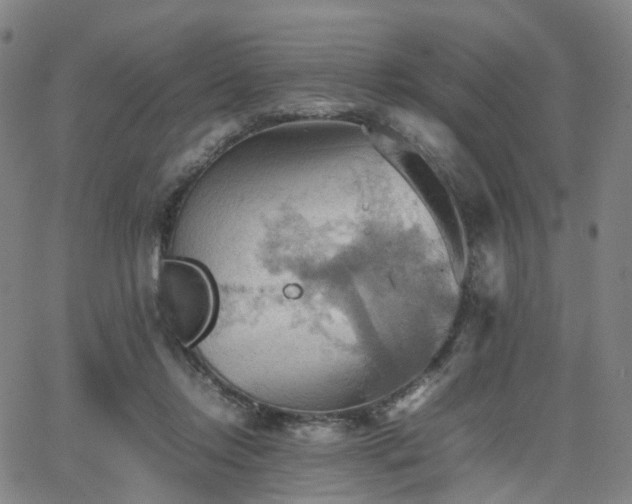 X0000064040358200601301154