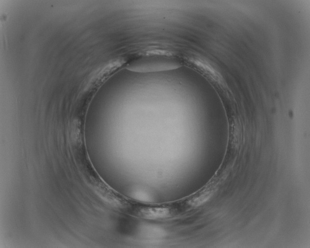 X0000064040361200601301154