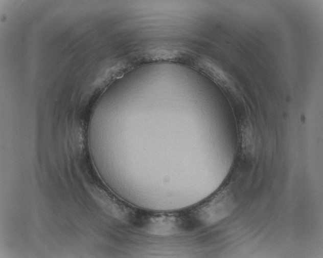 X0000064040362200601301154