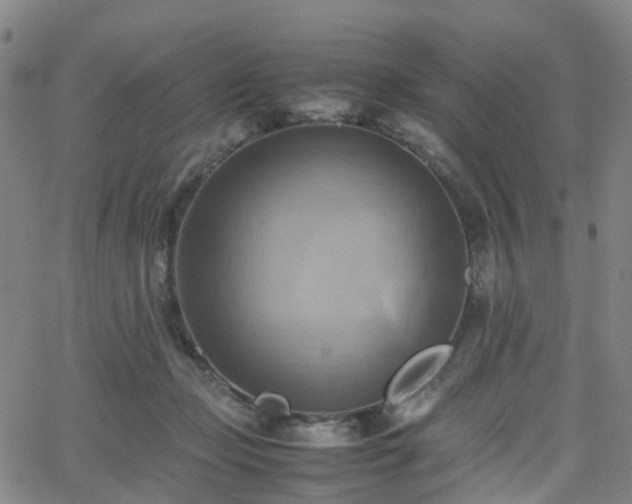 X0000064040365200601301154