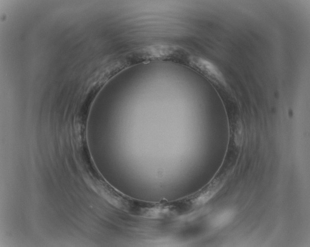 X0000064040366200601301154