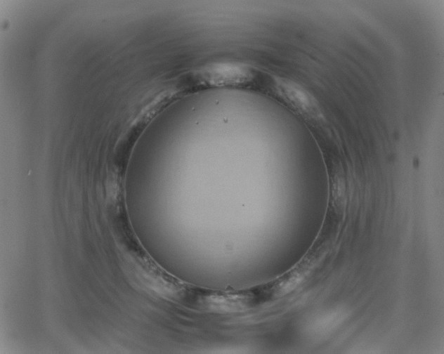 X0000064040367200601301154