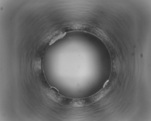 X0000064040368200601301154