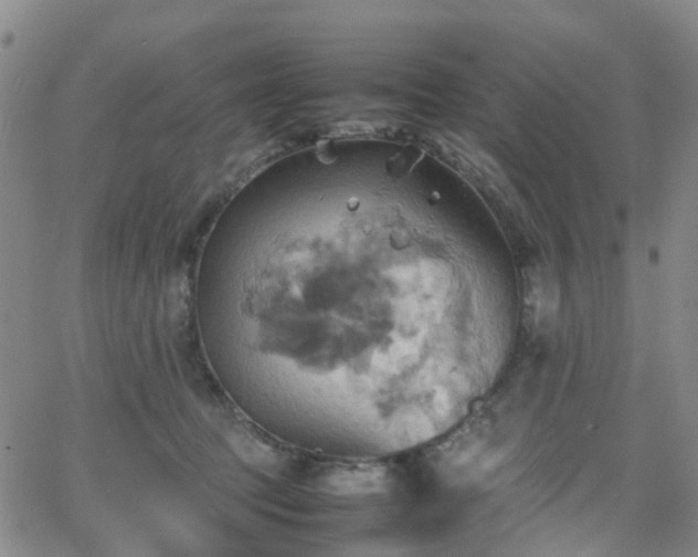 X0000064040369200601301154