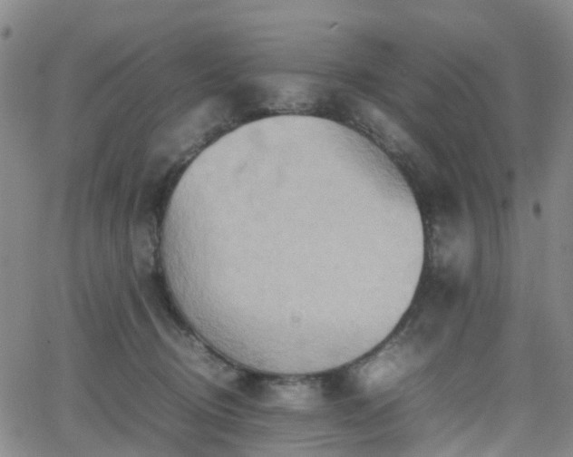 X0000064040370200601301154