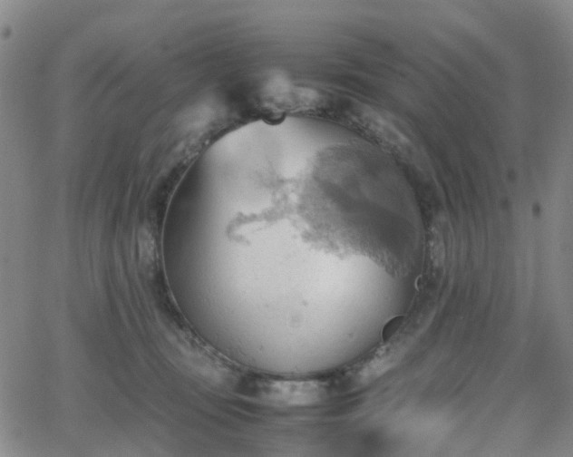 X0000064040371200601301154