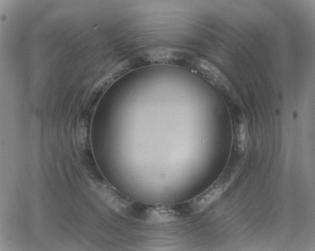 X0000064040372200601301154