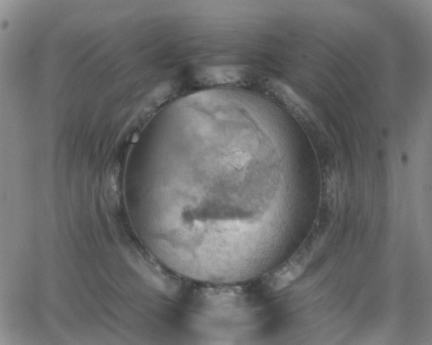 X0000064040373200601301154