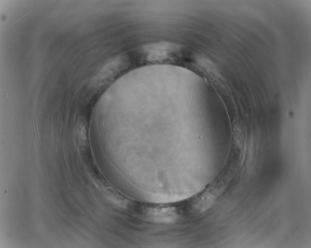 X0000064040375200601301154