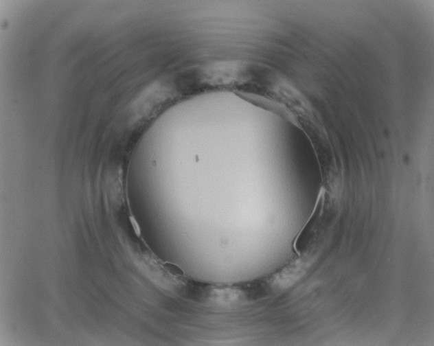 X0000064040376200601301154