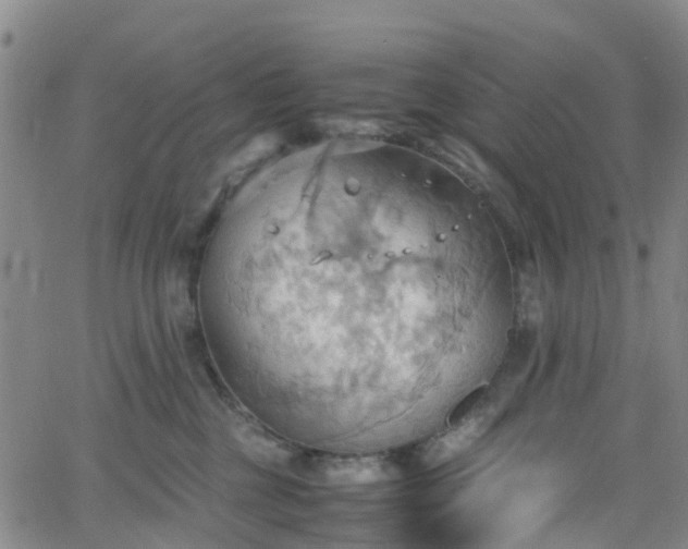 X0000064040377200601301154