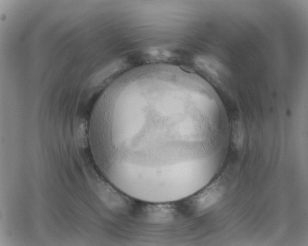 X0000064040378200601301154