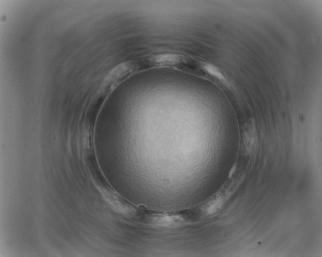 X0000064040379200601301155