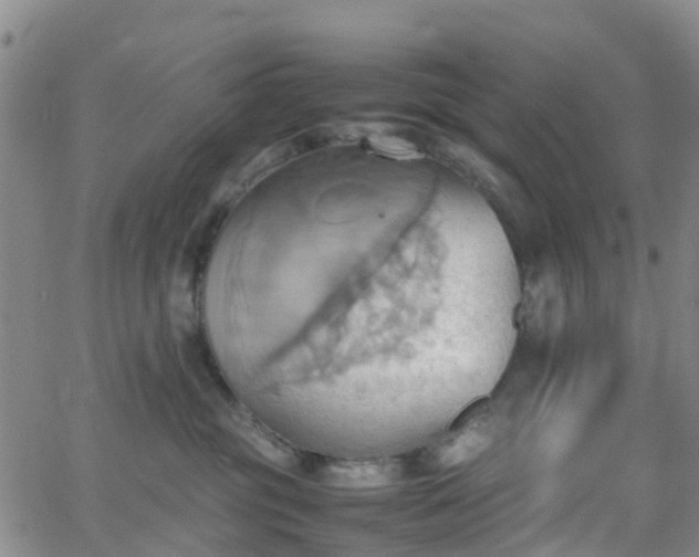 X0000064040381200601301155